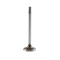 Auslassventil B20A/B/D/B30A 35mm Auslassventil B20A/B/D/B30A 35mm