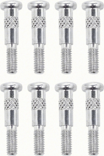 70-73 Standard Park Lamp Screw Set in der Gruppe General Motors / Camaro/Firebird 67-81 / Autoelektrik/Beleuchtung / Beleuchtung / Parkleuchte Camaro 70-81 bei VP Autoparts AB (OER-5962696)