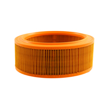 Luftfilter 240 75-78 B19A & B21A