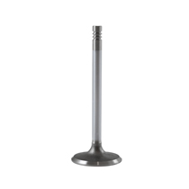 Einlassventil B20 Einspritzanlage D=44mm