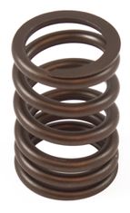 Ventilfeder 289 1968