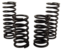 Federsatz Sport Amazon/1800 Linear