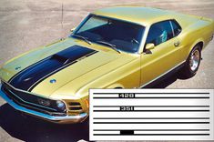 Schablone Haubenlackierung Mach 1 70