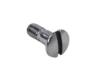Inner Mirror Mounting Screw