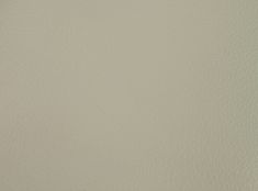 Dachhimmel Mustang 65-70 Weiss