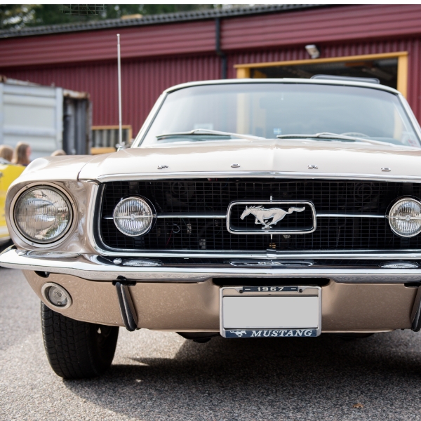 Frontgrill Ford Mustang