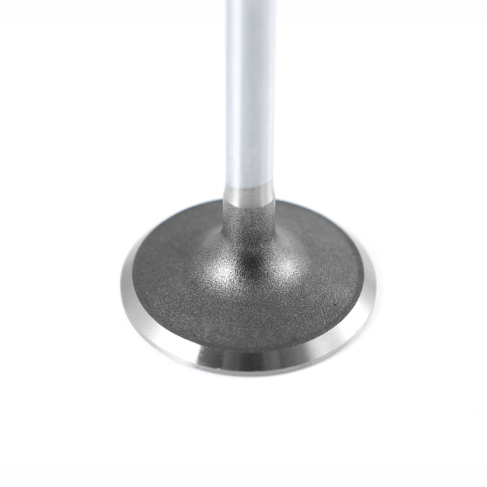 Intake valve B19-B23 (Not B230K)