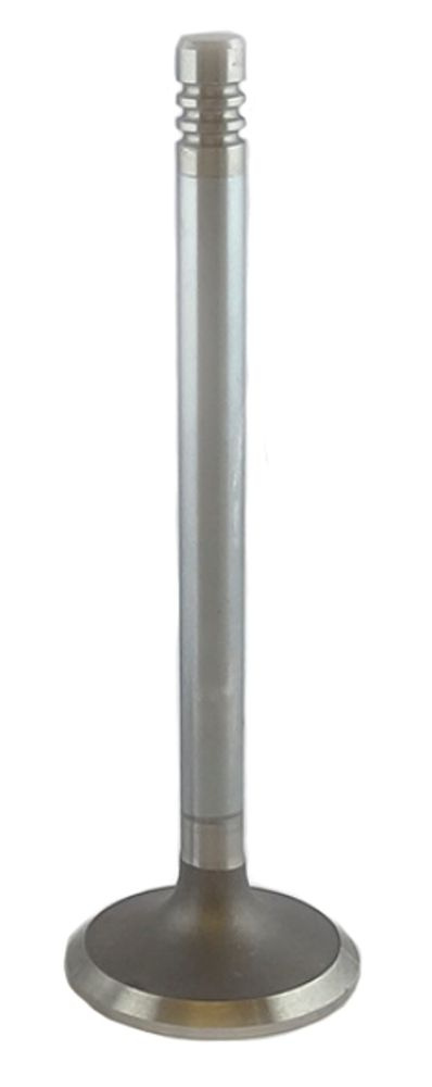 Auslassventil B20/B30 37mm