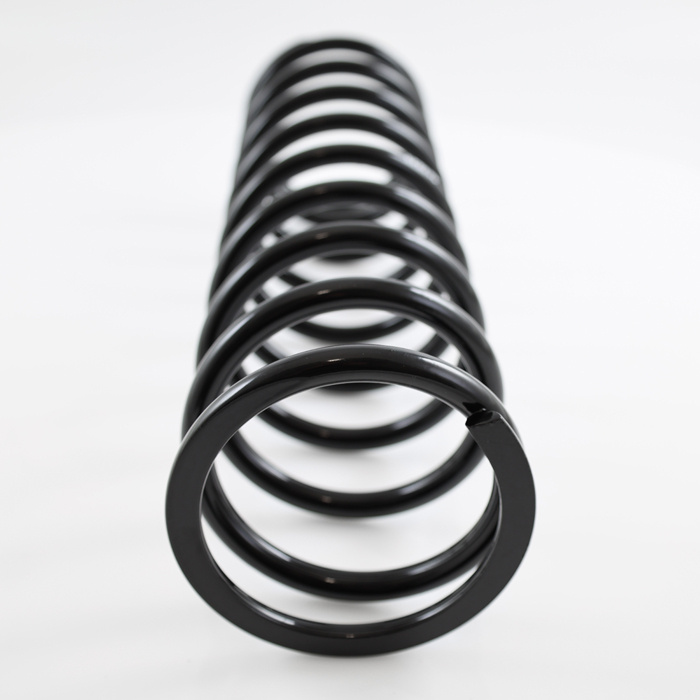 Feder 1800 hinten