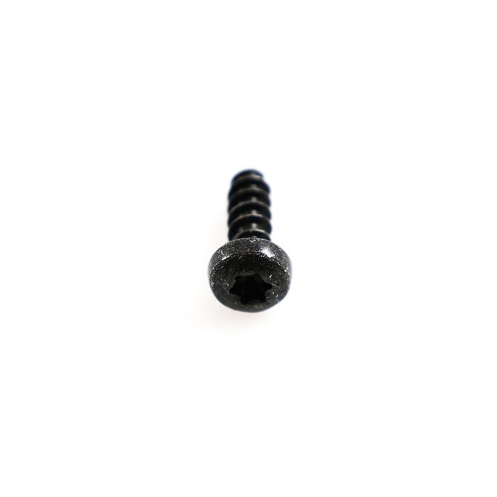 Schraube Innen-Torx 5,0 mm (16mm lang)