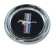 Emblem Armaturenbrett De Luxe 67-68