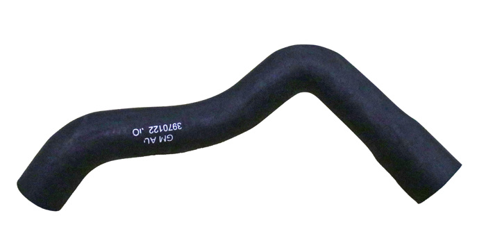 Radiator hose lower GM 70-81 F-body SB