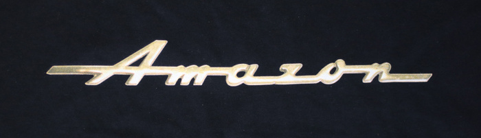 T-Shirt schwarz Amazon emblem - Herren